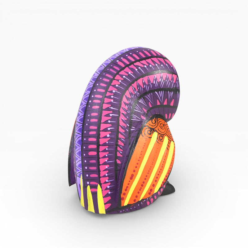 Angel Matias: Little Owl