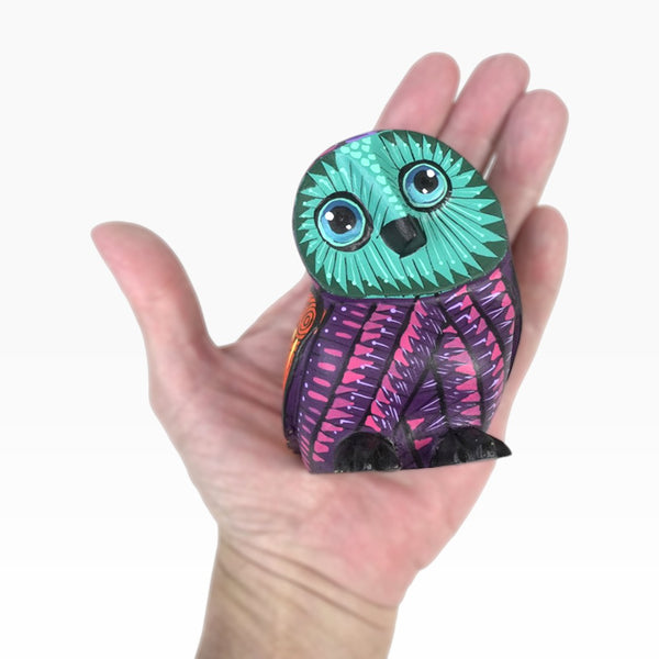 Angel Matias: Little Owl