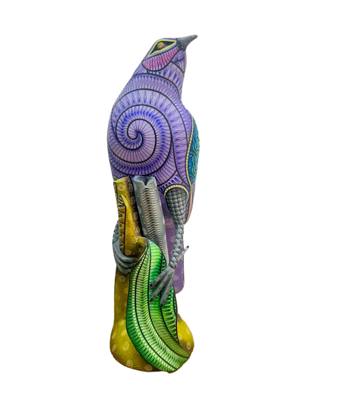 Angel Melchor: Beautiful Bird Woodcarving