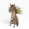 files/AntonioAlonsoEmperorXolo_SandiaFolk8977.jpg