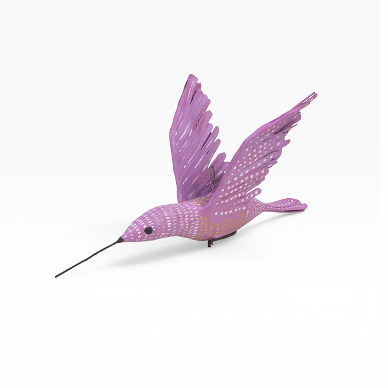 Antonio Alonso: Pink Hummingbird