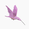 files/AntonioAlonsoHummingbird_SandiaFolk9076.jpg