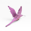 files/AntonioAlonsoHummingbird_SandiaFolk9079.jpg