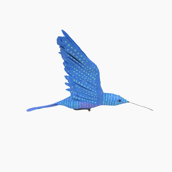 Antonio Alonso: Blue Hummingbird
