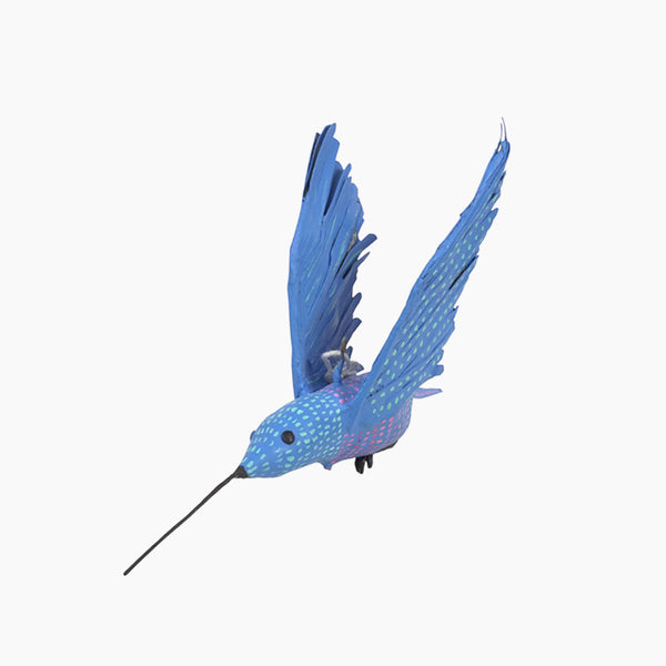 Antonio Alonso: Blue Hummingbird