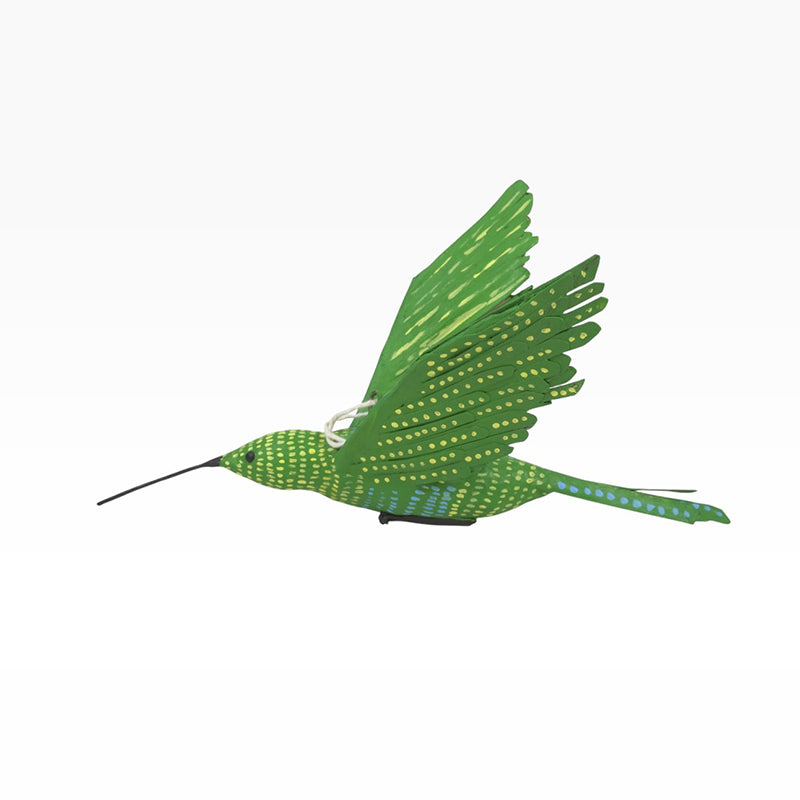 Antonio Alonso: Green Hummingbird
