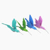 files/AntonioAlonsoHummingbird_SandiaFolk9124.jpg