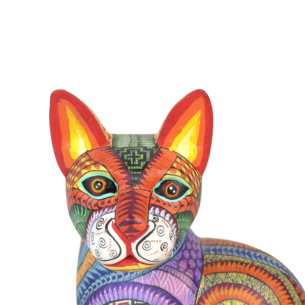 Antonio Xuana: Patchwork Cat