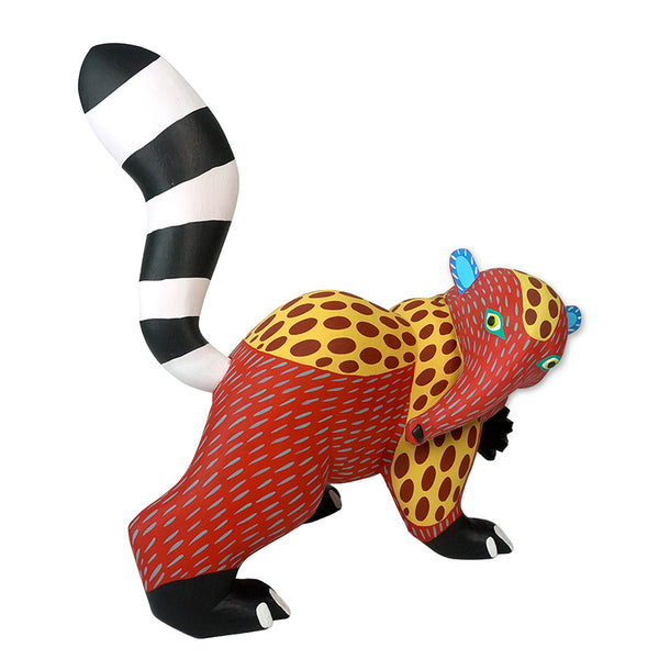 Armando Jimenez: Playful Spotted Anteater