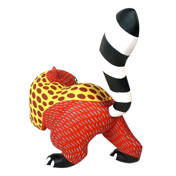 Armando Jimenez: Playful Spotted Anteater