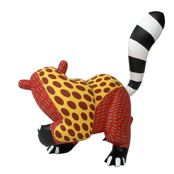 Armando Jimenez: Playful Spotted Anteater