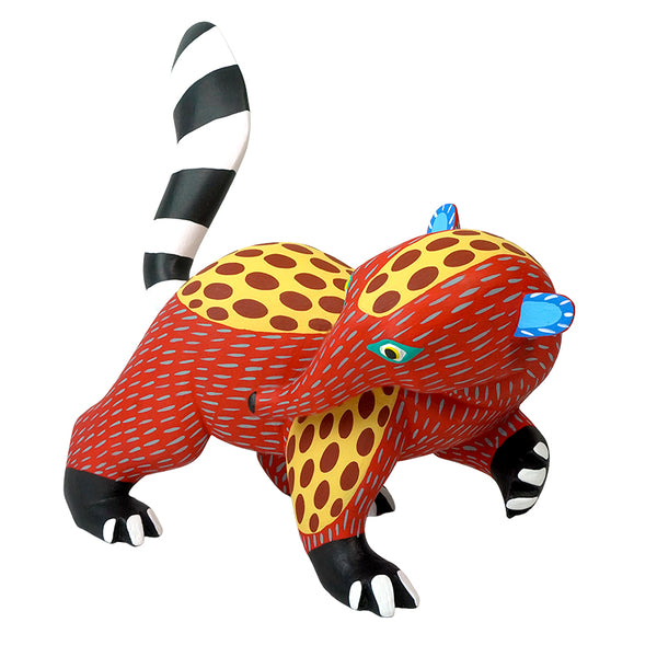 Armando Jimenez: Playful Spotted Anteater