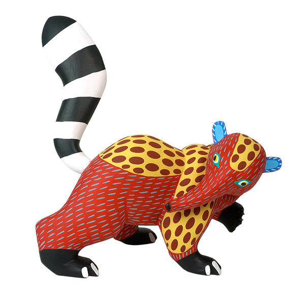 Armando Jimenez: Playful Spotted Anteater