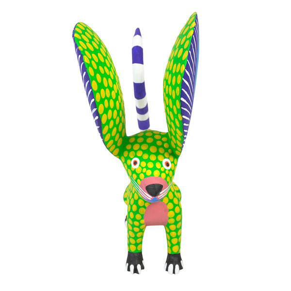 Armando Jimenez: Mouse Oaxaca