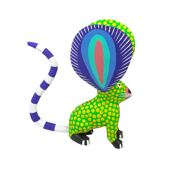 Armando Jimenez: Mouse Oaxaca