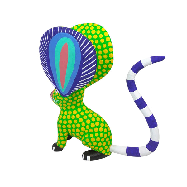 Armando Jimenez: Mouse Oaxaca