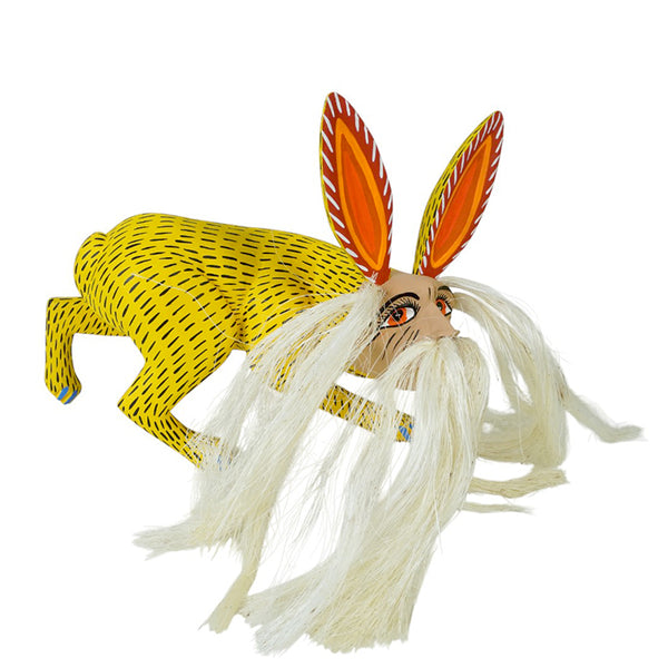 Armando Jimenez: Nahual Alebrije