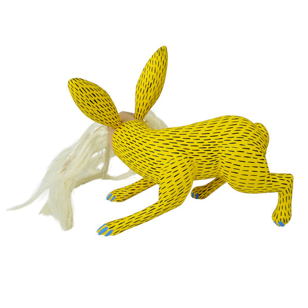 Armando Jimenez: Nahual Alebrije