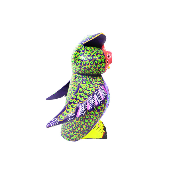 Candido Jimenez: Endearing Owl Woodcarving