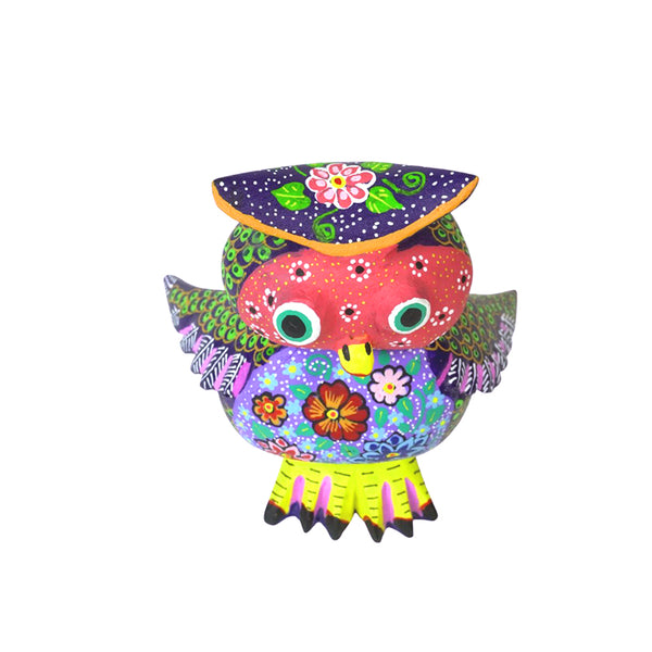 Candido Jimenez: Endearing Owl Woodcarving