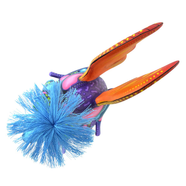 Carolina Sandoval & Kengi: Winged Frog Woodcarving