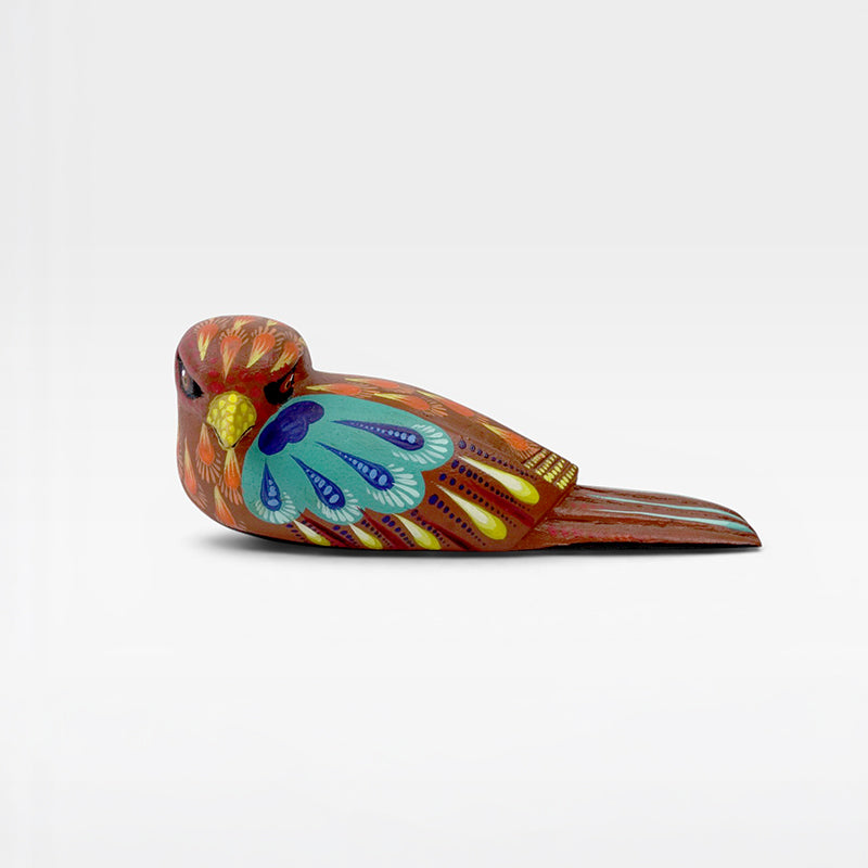 Carolina Sandoval & Kengi: Dove Oaxaca
