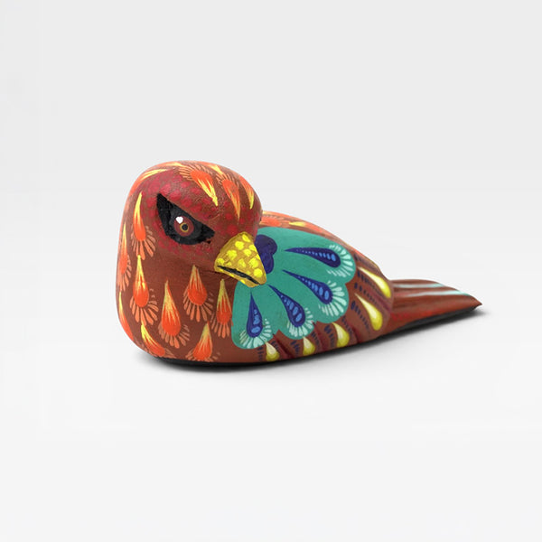 Carolina Sandoval & Kengi: Dove Oaxaca