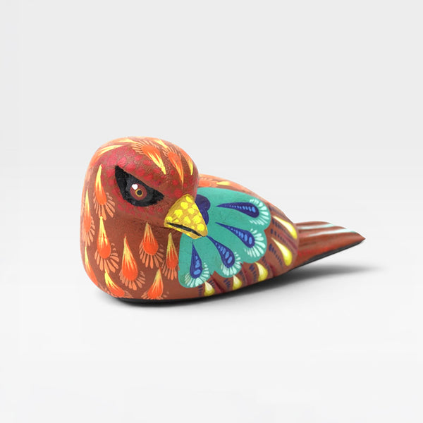Carolina Sandoval & Kengi: Dove Oaxaca