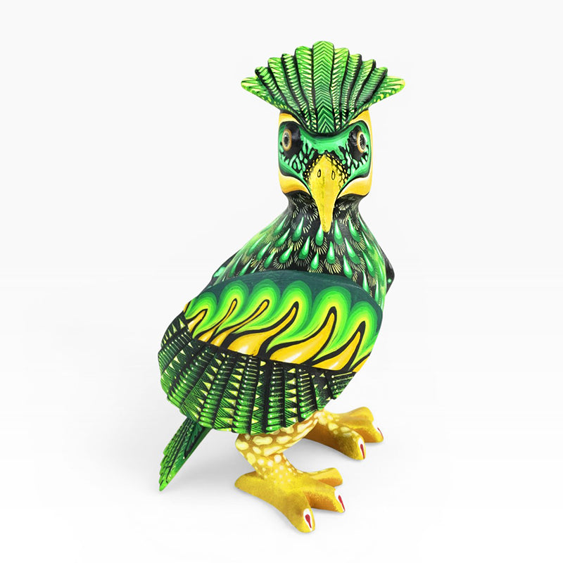 Carolina Sandoval & Kengi: Harpy Eagle Oaxaca