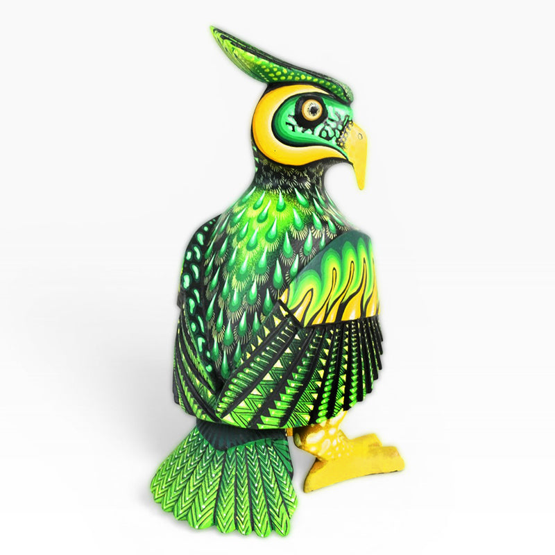 Carolina Sandoval & Kengi: Harpy Eagle Oaxaca