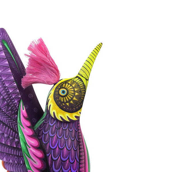 Carolina Sandoval & Kengi: Messenger of Joy Hummingbird