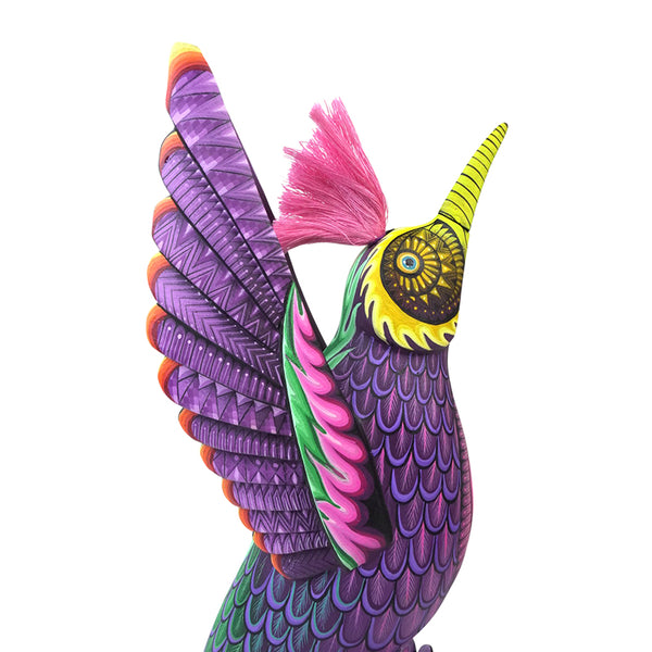 Carolina Sandoval & Kengi: Messenger of Joy Hummingbird