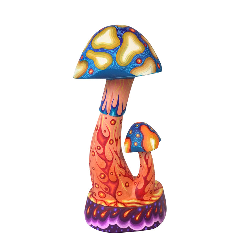 Carolina Sandoval & Kengi: Mushrooms Oaxaca