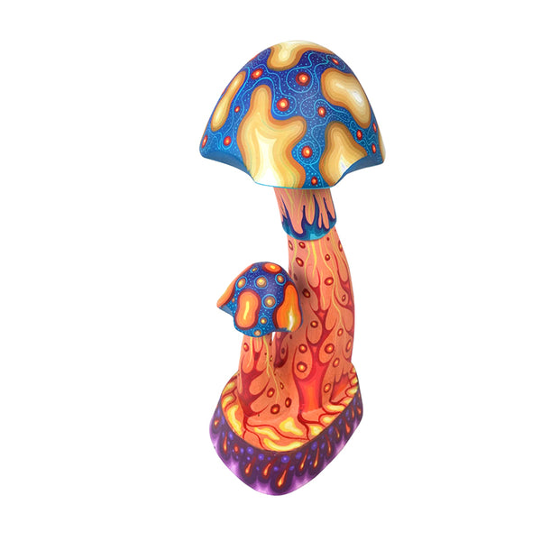 Carolina Sandoval & Kengi: Mushrooms Oaxaca