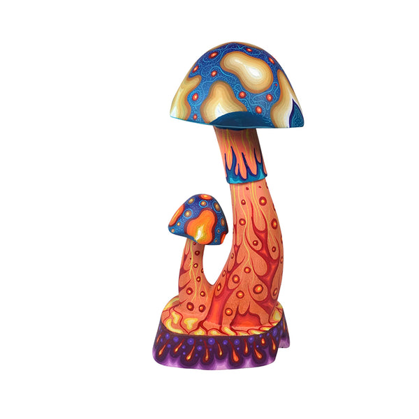 Carolina Sandoval & Kengi: Mushrooms Oaxaca