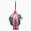 files/CarolinaSandovalSnailHummingbird_SandiaFolk9338.jpg
