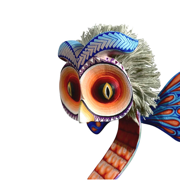 Carolina Sandoval & Kengi: Fusion Owl, Butterfly, Snake