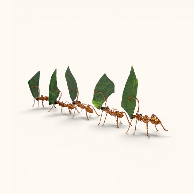 Cristo Escamilla: Leafcutter Ants Set Wire Art