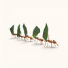 Cristo Escamilla: Leafcutter Ants Set Wire Art