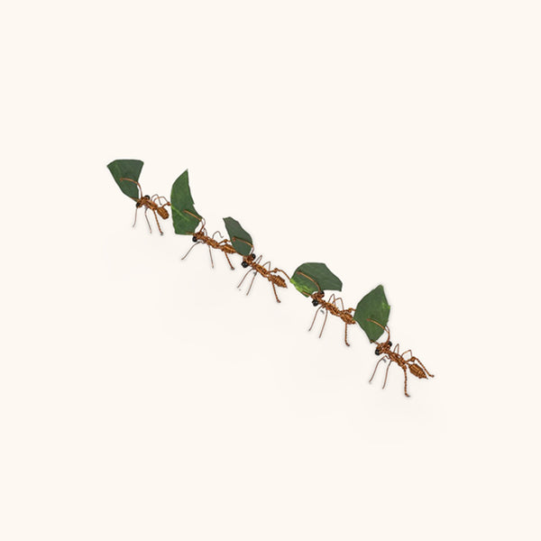 Cristo Escamilla: Leafcutter Ants Set Wire Art