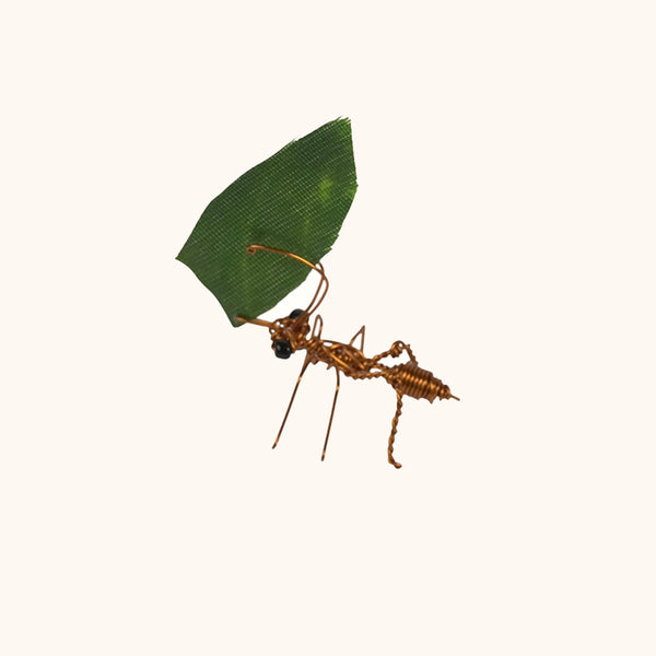 Cristo Escamilla: Leafcutter Ants Set Wire Art