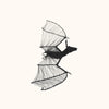 files/CristoEscamillaWireBat_SandiaFolk7693.jpg
