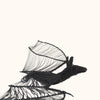 files/CristoEscamillaWireBat_SandiaFolk7694.jpg