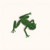 files/CristoEscamillaWireFrog_SandiaFolk7662.jpg