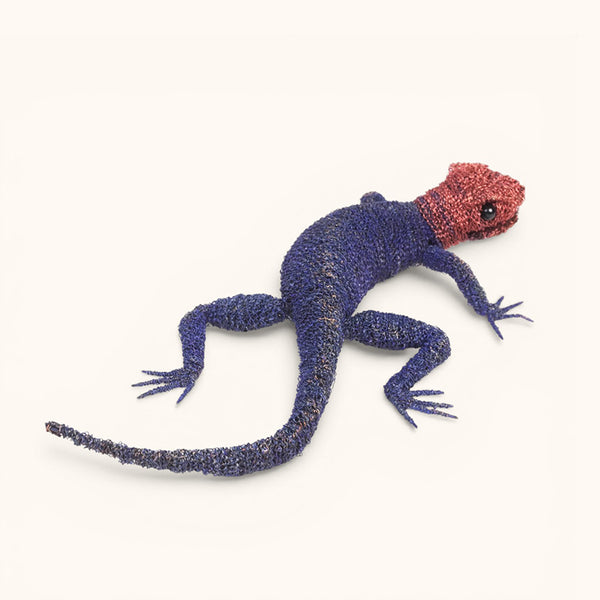 Cristo Escamilla: Red Headed Agama Lizard  Wire Art