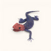 Cristo Escamilla: Red Headed Agama Lizard  Wire Art