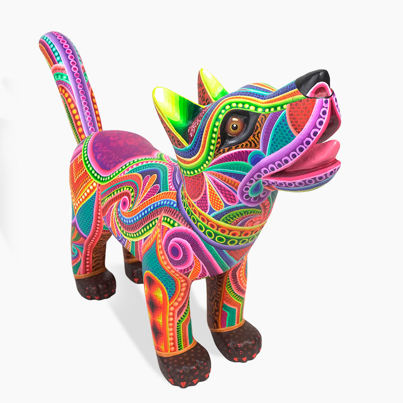 Dante Cruz: Impressive Kaleidoscope Dog Oaxaca