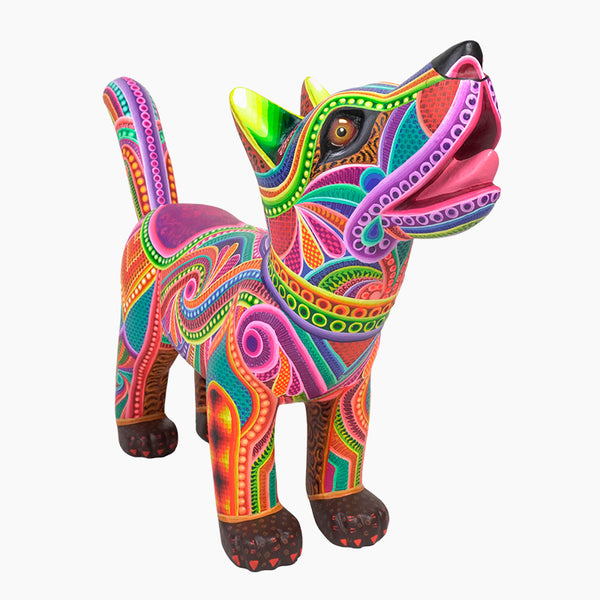 Dante Cruz: Impressive Kaleidoscope Dog Oaxaca