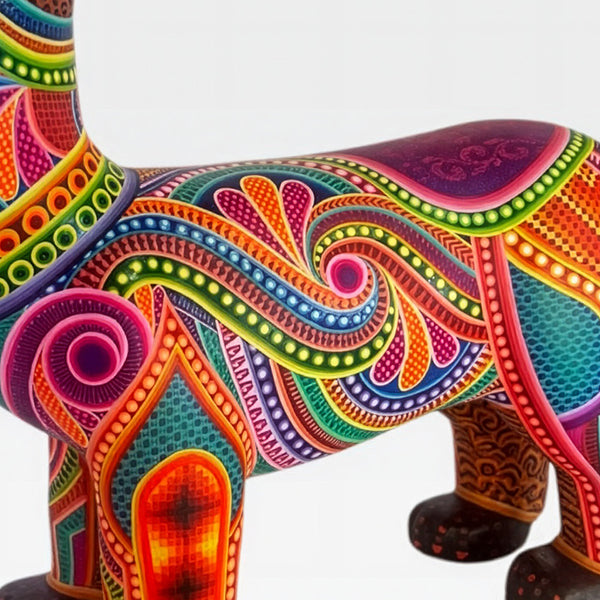 Dante Cruz: Impressive Kaleidoscope Dog Oaxaca