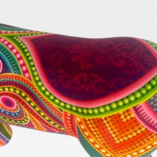 Dante Cruz: Impressive Kaleidoscope Dog Oaxaca